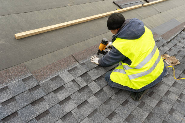 Professional Roofing Contractor in Cecil Bishop, PA