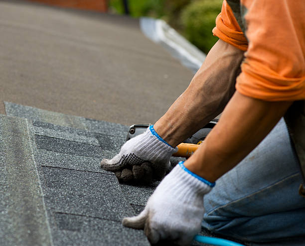Best Best Roofing Contractors  in Cecil Bishop, PA