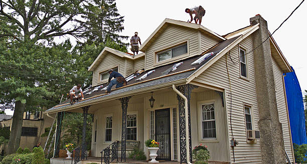 Best Gutter Installation and Roofing  in Cecil Bishop, PA